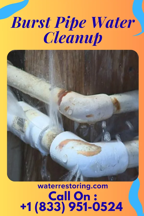 Burst Pipe Water Cleanup in West Milford, WV
