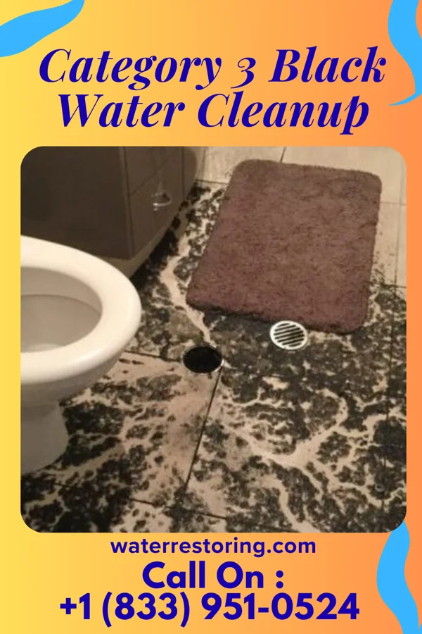 Category 3 Black Water Cleanup in West Milford, WV