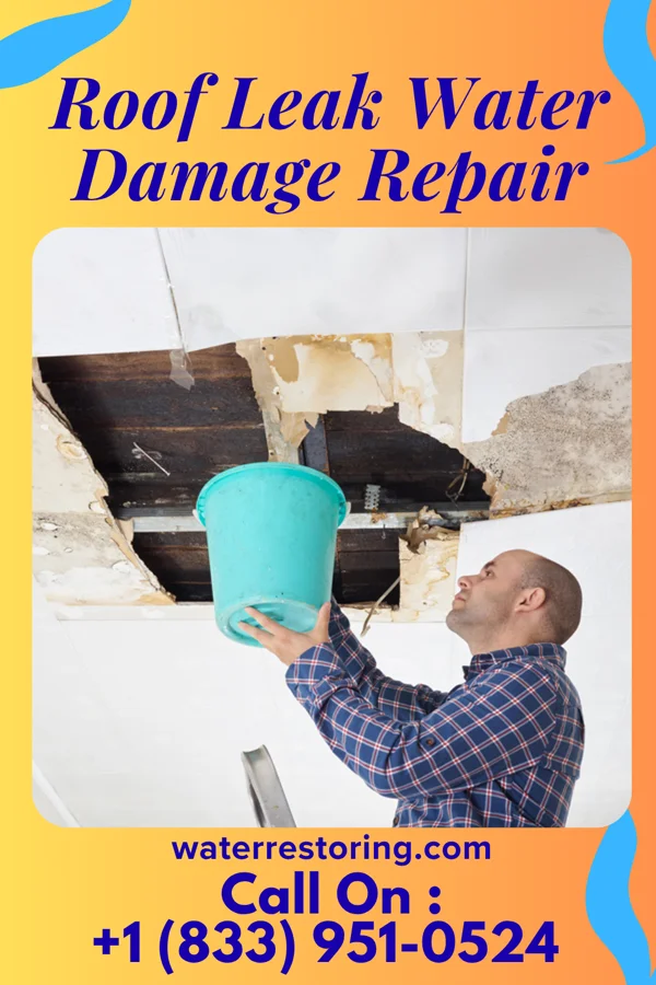Roof Leak Water Damage Repair in West Milford, WV